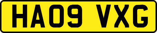 HA09VXG
