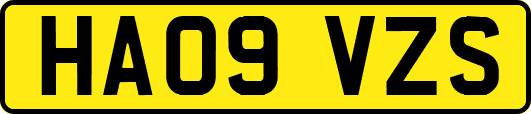 HA09VZS