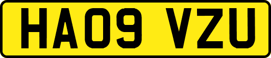 HA09VZU
