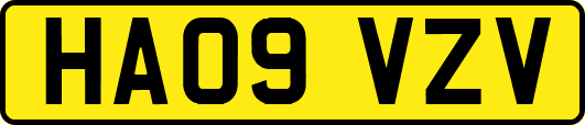 HA09VZV