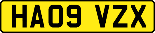 HA09VZX