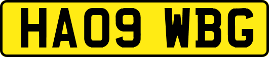 HA09WBG