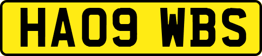 HA09WBS