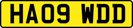 HA09WDD