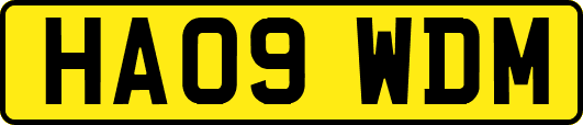 HA09WDM