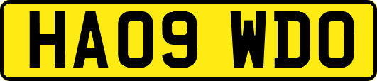 HA09WDO