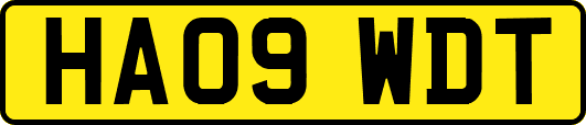 HA09WDT