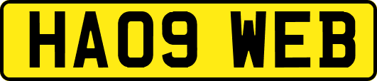 HA09WEB