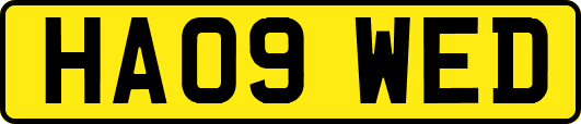 HA09WED