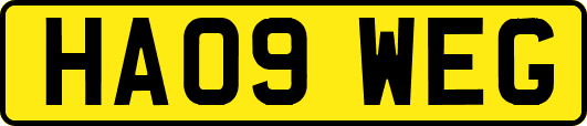 HA09WEG