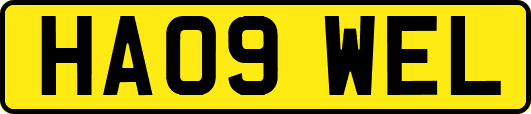 HA09WEL