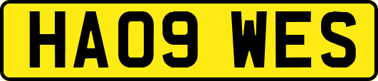 HA09WES