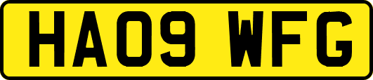 HA09WFG