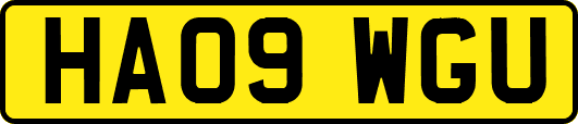 HA09WGU
