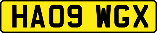 HA09WGX
