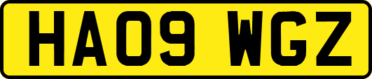HA09WGZ
