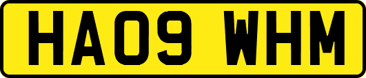 HA09WHM