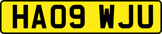 HA09WJU