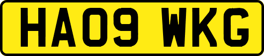 HA09WKG