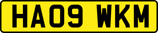 HA09WKM