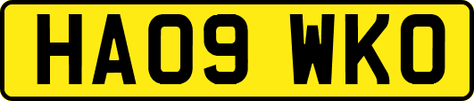 HA09WKO
