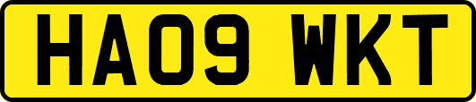 HA09WKT