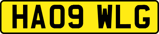 HA09WLG