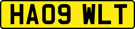 HA09WLT