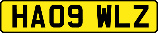 HA09WLZ