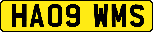 HA09WMS