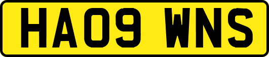 HA09WNS