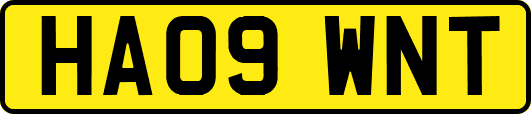 HA09WNT