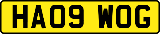 HA09WOG
