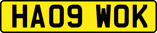 HA09WOK