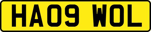 HA09WOL