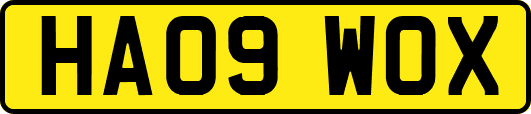 HA09WOX