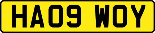 HA09WOY