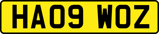 HA09WOZ