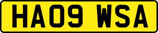 HA09WSA