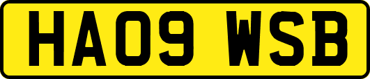 HA09WSB