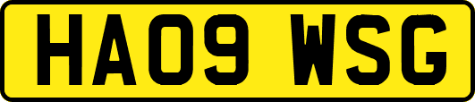 HA09WSG