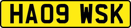 HA09WSK