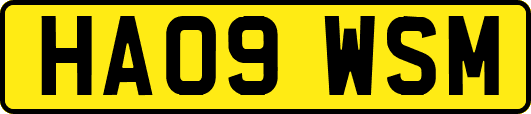 HA09WSM
