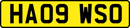 HA09WSO