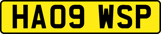 HA09WSP