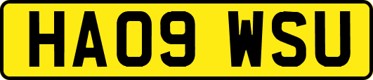 HA09WSU