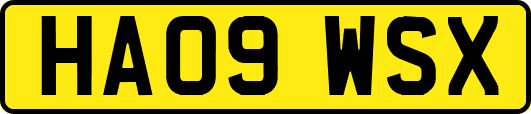 HA09WSX