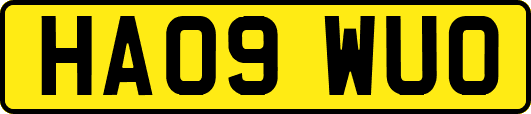 HA09WUO