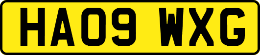 HA09WXG