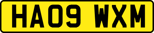 HA09WXM